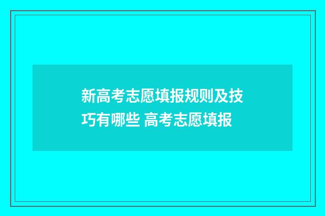 新高考志愿填报规则及技巧有哪些 高考志愿填报