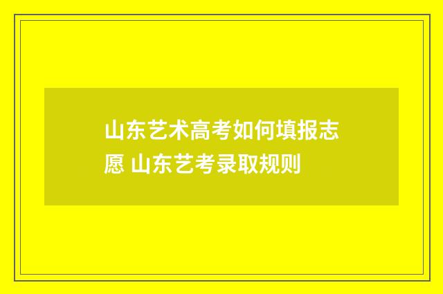 山东艺术高考如何填报志愿 山东艺考录取规则