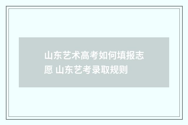 山东艺术高考如何填报志愿 山东艺考录取规则