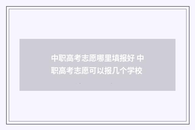 中职高考志愿哪里填报好 中职高考志愿可以报几个学校