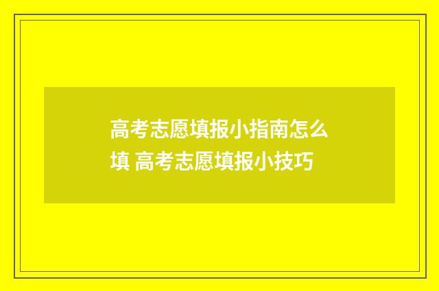 高考志愿填报小指南怎么填 高考志愿填报小技巧