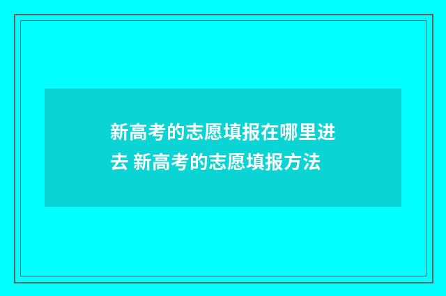 新高考的志愿填报在哪里进去 新高考的志愿填报方法
