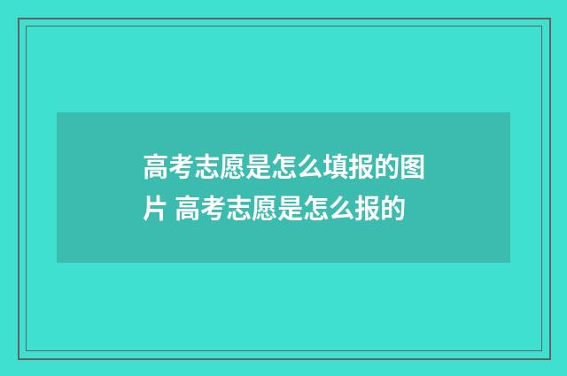 高考志愿是怎么填报的图片 高考志愿是怎么报的