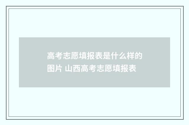 高考志愿填报表是什么样的图片 山西高考志愿填报表