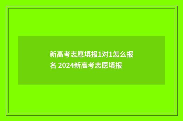 新高考志愿填报1对1怎么报名 2024新高考志愿填报