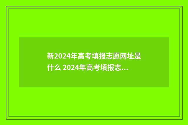新2024年高考填报志愿网址是什么 2024年高考填报志愿指南