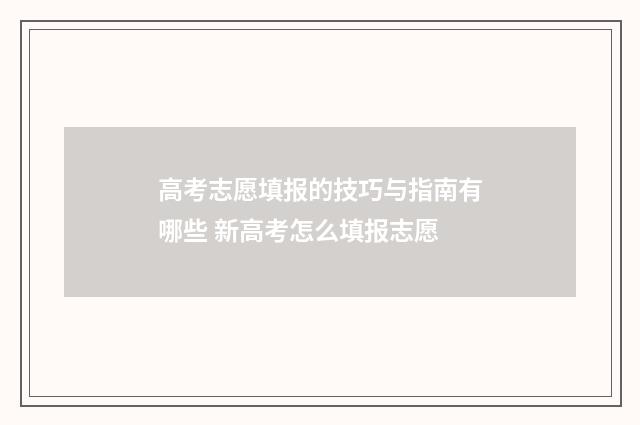 高考志愿填报的技巧与指南有哪些 新高考怎么填报志愿