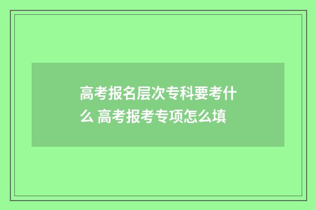 高考报名层次专科要考什么 高考报考专项怎么填