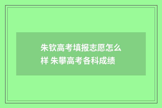 朱钦高考填报志愿怎么样 朱攀高考各科成绩