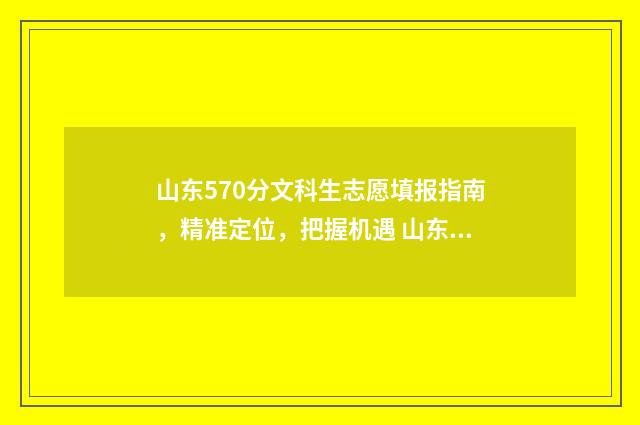 山东570分文科生志愿填报指南，精准定位，把握机遇 山东570分文科生可以报哪些大学