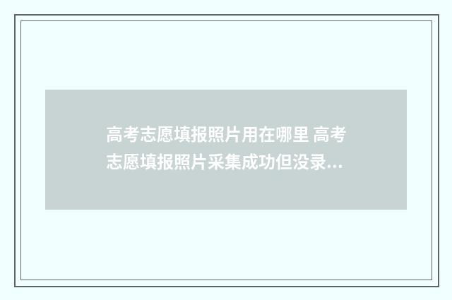 高考志愿填报照片用在哪里 高考志愿填报照片采集成功但没录入信息