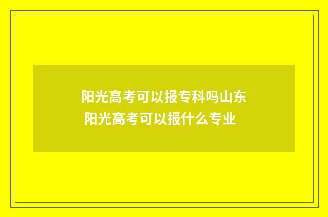 阳光高考可以报专科吗山东 阳光高考可以报什么专业