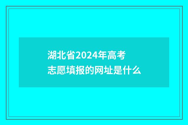 湖北省2024年高考志愿填报的网址是什么
