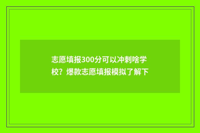 志愿填报300分可以冲刺啥学校？爆款志愿填报模拟了解下