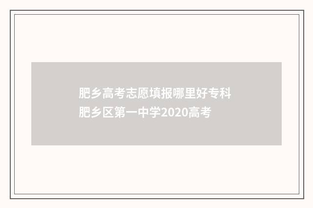 肥乡高考志愿填报哪里好专科 肥乡区第一中学2020高考