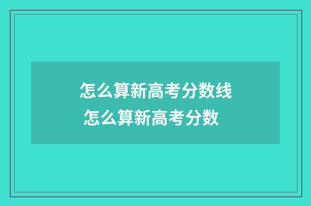 怎么算新高考分数线 怎么算新高考分数