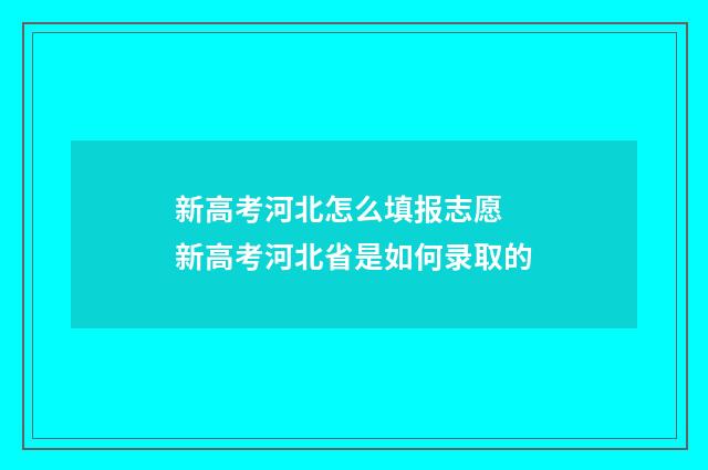 新高考河北怎么填报志愿 新高考河北省是如何录取的