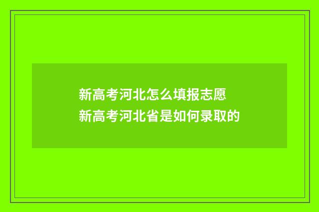 新高考河北怎么填报志愿 新高考河北省是如何录取的