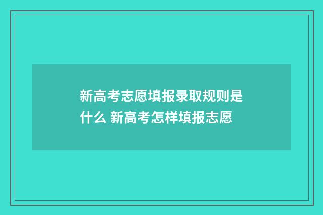新高考志愿填报录取规则是什么 新高考怎样填报志愿