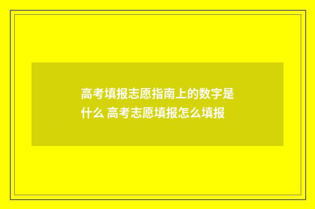 高考填报志愿指南上的数字是什么 高考志愿填报怎么填报