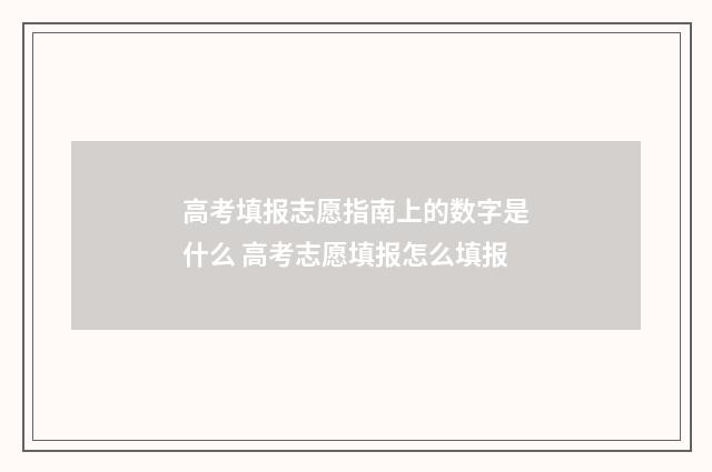 高考填报志愿指南上的数字是什么 高考志愿填报怎么填报