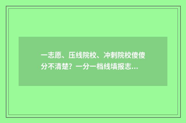 一志愿、压线院校、冲刺院校傻傻分不清楚？一分一档线填报志愿指南助你一臂之力 压线生征集志愿录取几率大吗