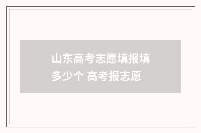 山东高考志愿填报填多少个 高考报志愿