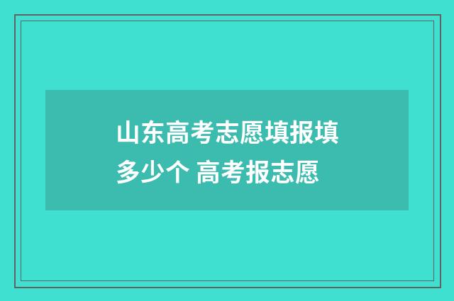 山东高考志愿填报填多少个 高考报志愿