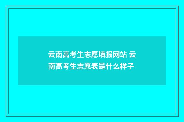 云南高考生志愿填报网站 云南高考生志愿表是什么样子