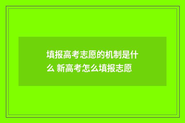 填报高考志愿的机制是什么 新高考怎么填报志愿