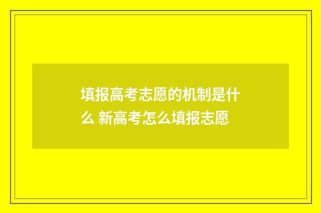 填报高考志愿的机制是什么 新高考怎么填报志愿