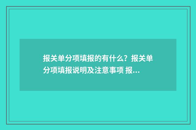 报关单分项填报的有什么？报关单分项填报说明及注意事项 报关单项号从哪里来