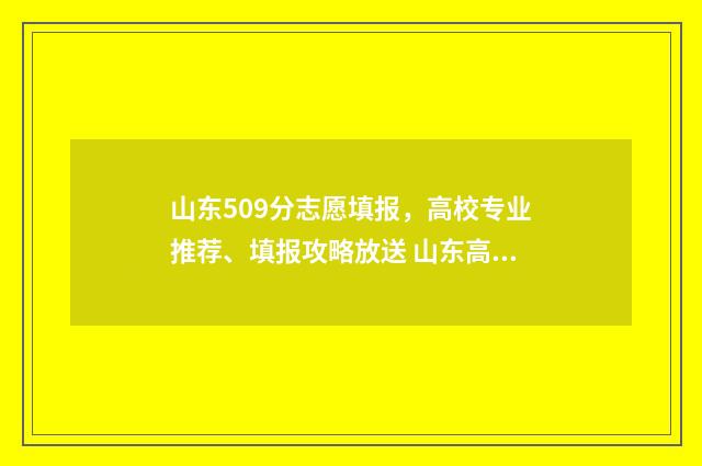 山东509分志愿填报，高校专业推荐、填报攻略放送 山东高考分数509可以上哪所大学