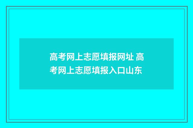 高考网上志愿填报网址 高考网上志愿填报入口山东