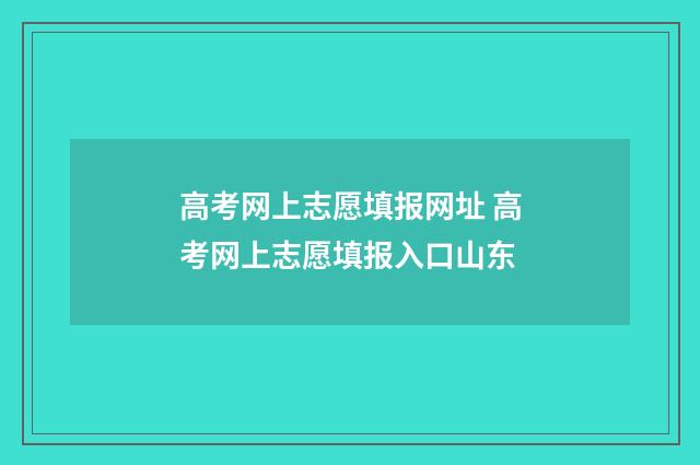 高考网上志愿填报网址 高考网上志愿填报入口山东