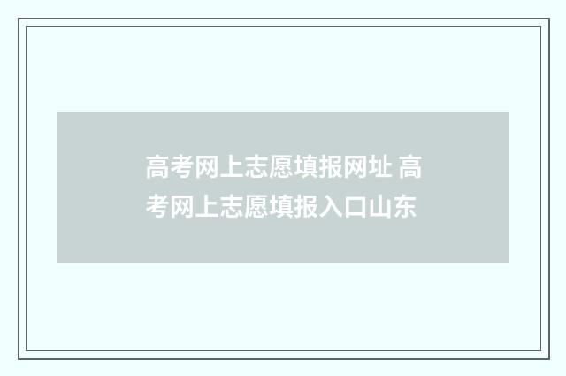 高考网上志愿填报网址 高考网上志愿填报入口山东