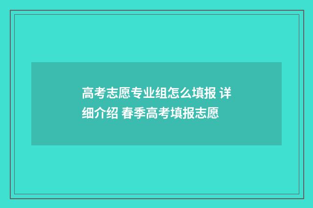 高考志愿专业组怎么填报 详细介绍 春季高考填报志愿