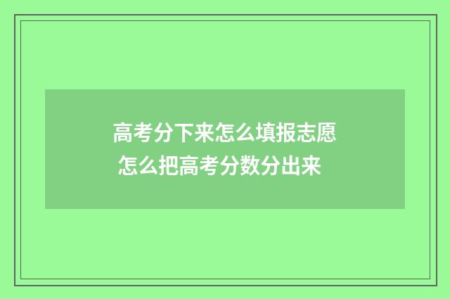 高考分下来怎么填报志愿 怎么把高考分数分出来