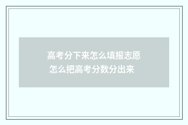 高考分下来怎么填报志愿 怎么把高考分数分出来