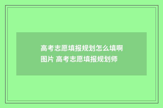 高考志愿填报规划怎么填啊图片 高考志愿填报规划师