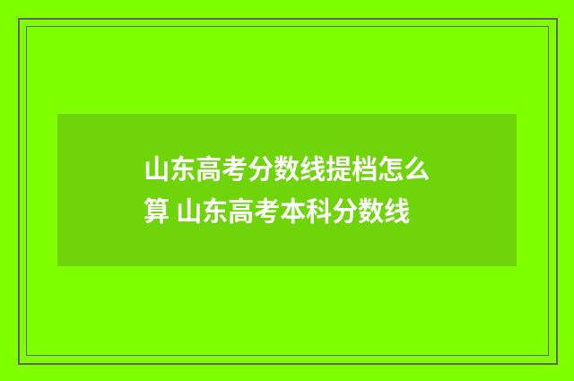 山东高考分数线提档怎么算 山东高考本科分数线