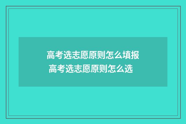 高考选志愿原则怎么填报 高考选志愿原则怎么选