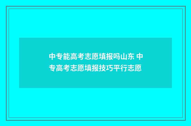 中专能高考志愿填报吗山东 中专高考志愿填报技巧平行志愿