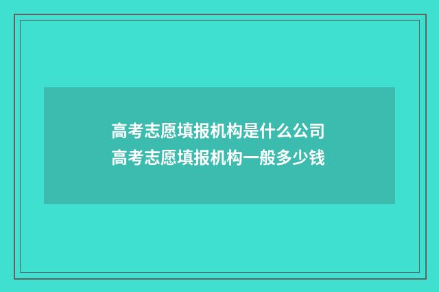 高考志愿填报机构是什么公司 高考志愿填报机构一般多少钱