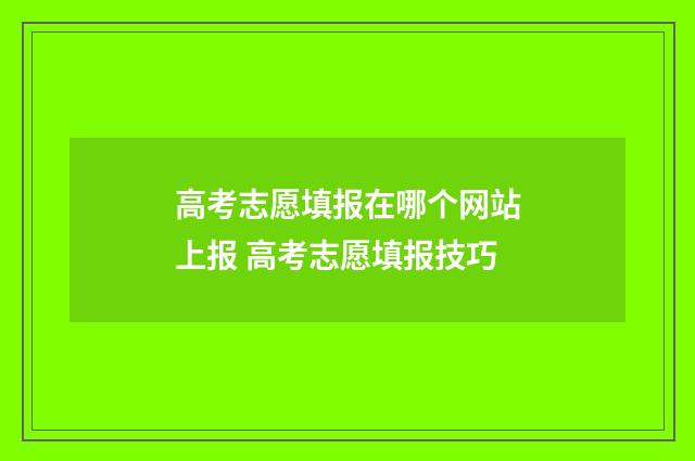 高考志愿填报在哪个网站上报 高考志愿填报技巧