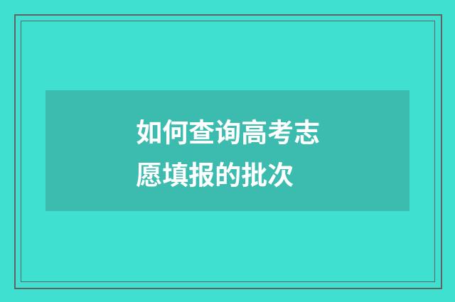 如何查询高考志愿填报的批次