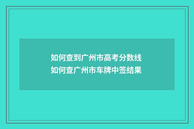 如何查到广州市高考分数线 如何查广州市车牌中签结果