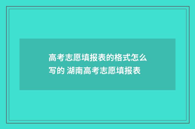 高考志愿填报表的格式怎么写的 湖南高考志愿填报表