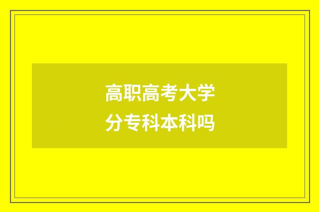 高职高考大学分专科本科吗