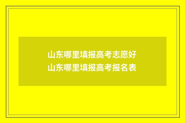 山东哪里填报高考志愿好 山东哪里填报高考报名表